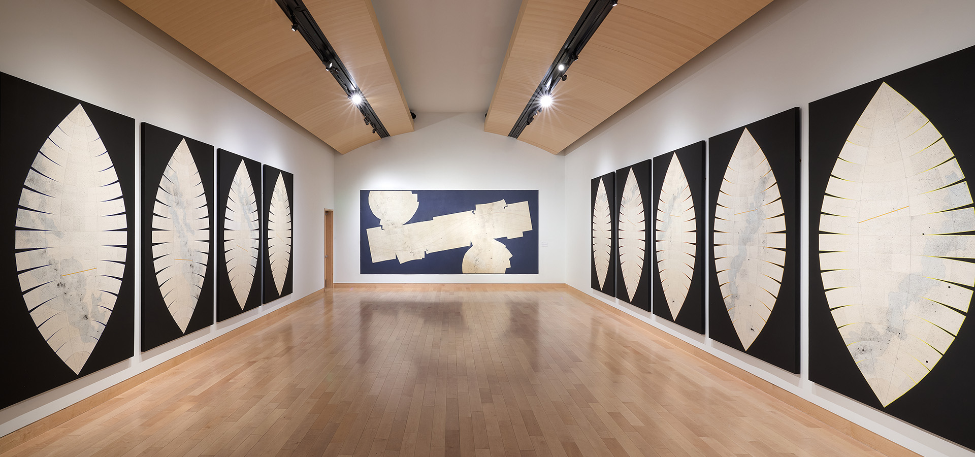 Large paintings of star maps hanging in Harwood Museums largest gallery.