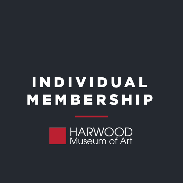 Individual membership icon