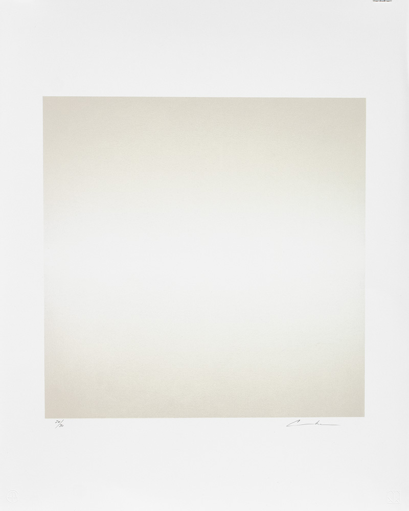 Michelle Cooke, White Light