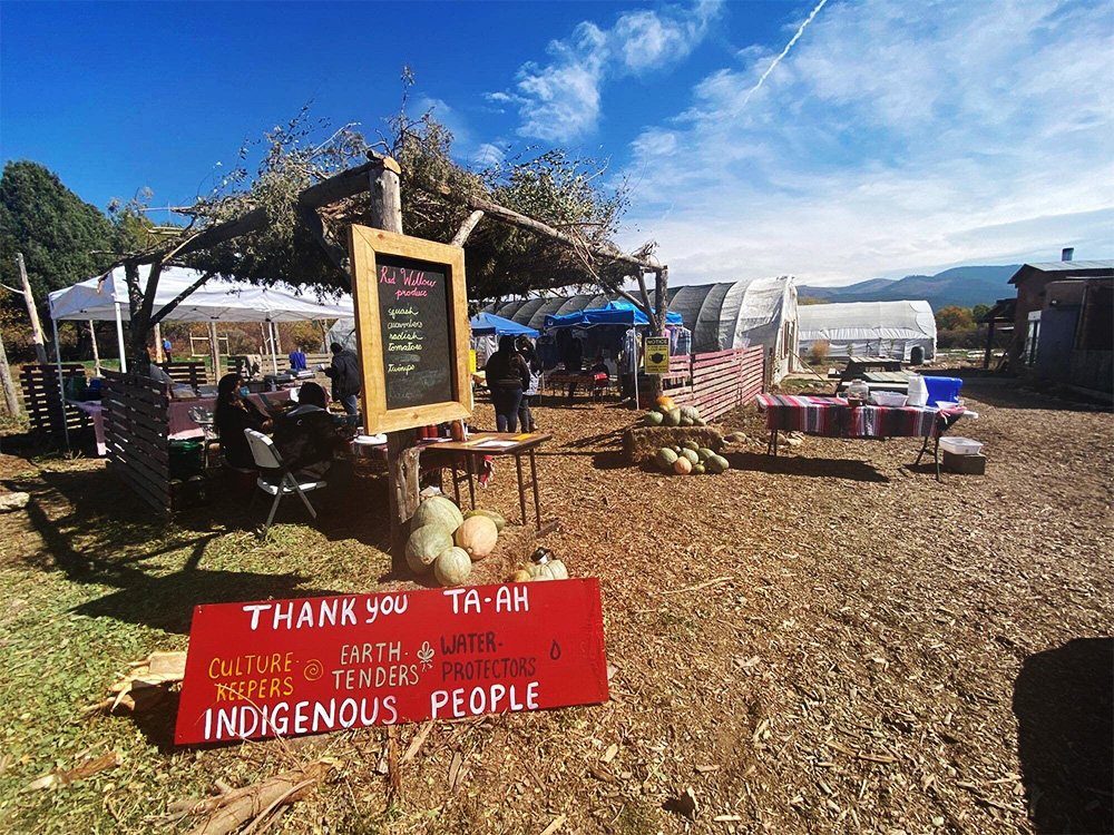 same-place-3 An outdoor stand at Farmer's Market with a sign that reads "Thank You Indigenous People"